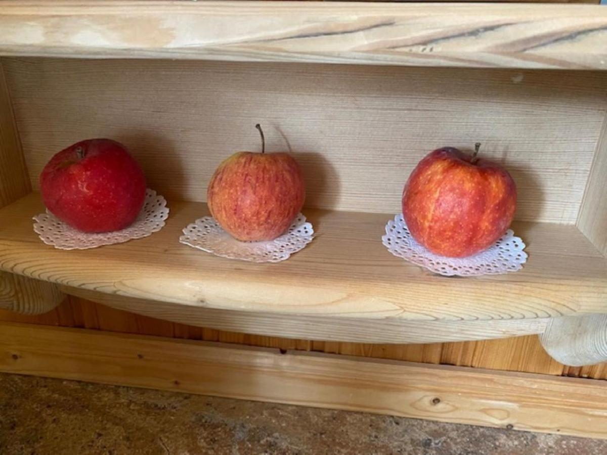 Alpenappartements Schwalbennestl 미텐발트 외부 사진